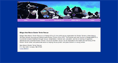 Desktop Screenshot of nmbostonrescue.com